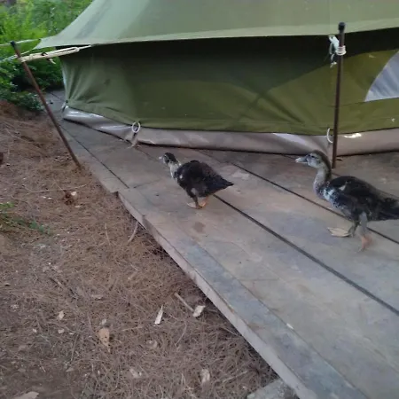 Zelt 1 Camp West بيت للعطل Ražanac